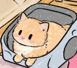 EMILY'S BLOG